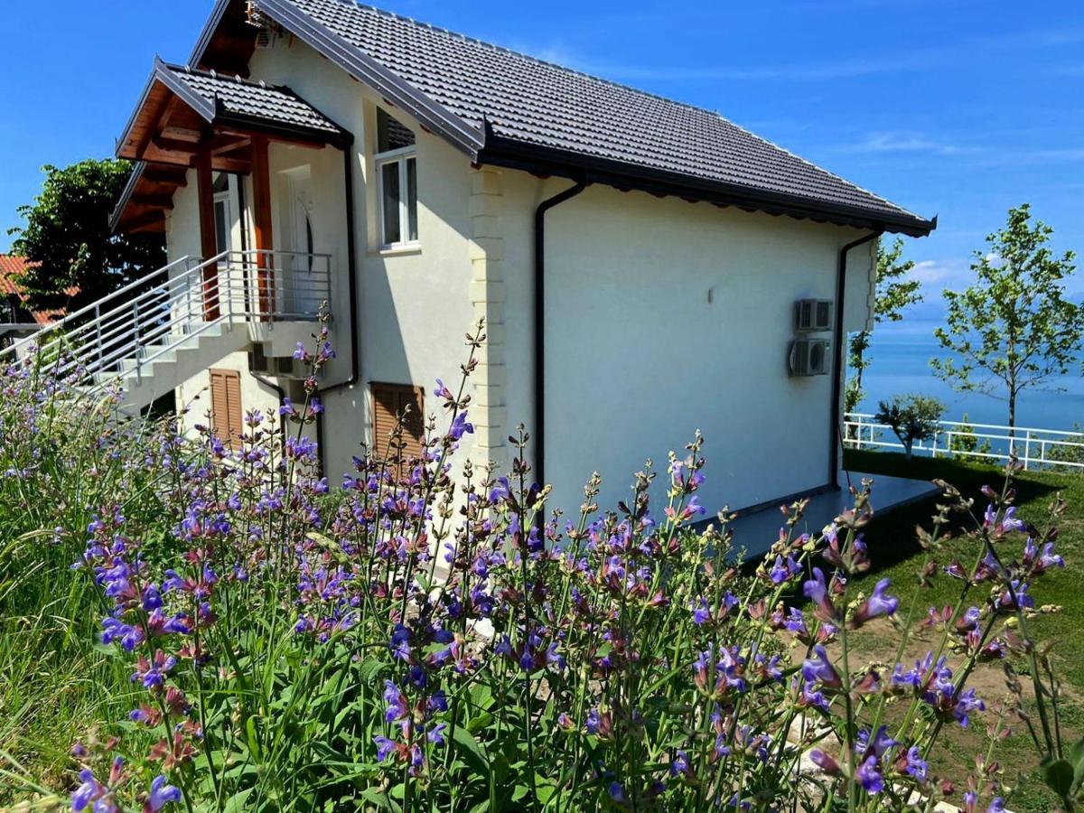 Xhuli Guesthouse Σκόδρα Εξωτερικό φωτογραφία