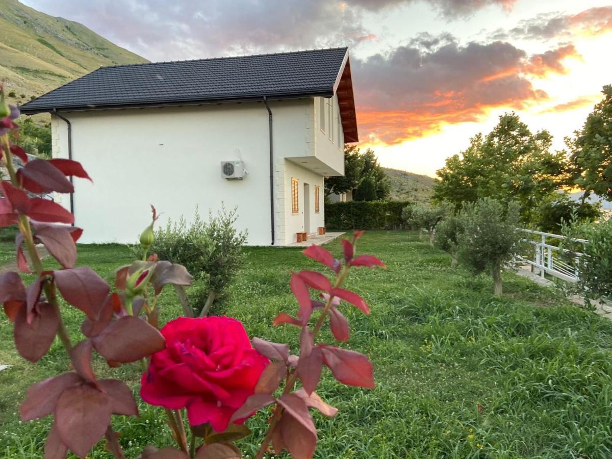 Xhuli Guesthouse Σκόδρα Εξωτερικό φωτογραφία