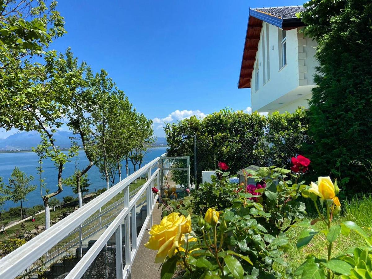 Xhuli Guesthouse Σκόδρα Εξωτερικό φωτογραφία