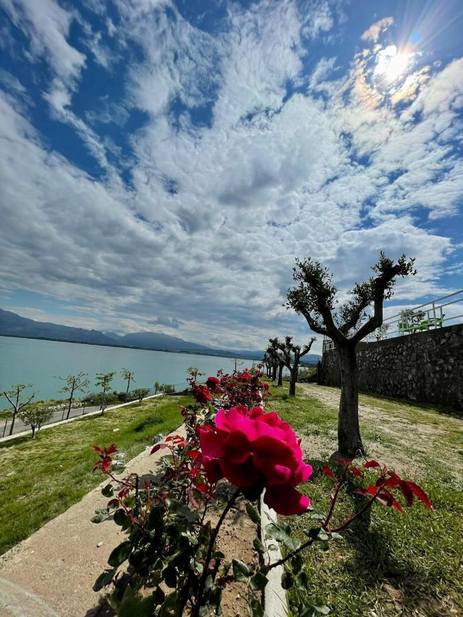 Xhuli Guesthouse Σκόδρα Εξωτερικό φωτογραφία